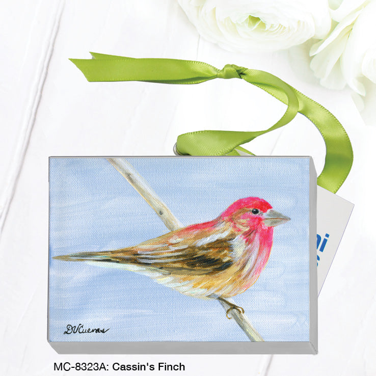 Cassin's Finch, Mini Canvas (MC-8323A)