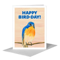 Orange Chest, Greeting Card (#8330C)