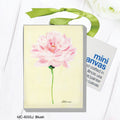 Blush, Mini Canvas (MC-83373J)