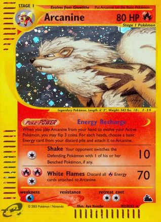 Arcanine 0H2/144 - Skyridge Holofoil