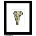 Elephant Face, Print (#8366A)
