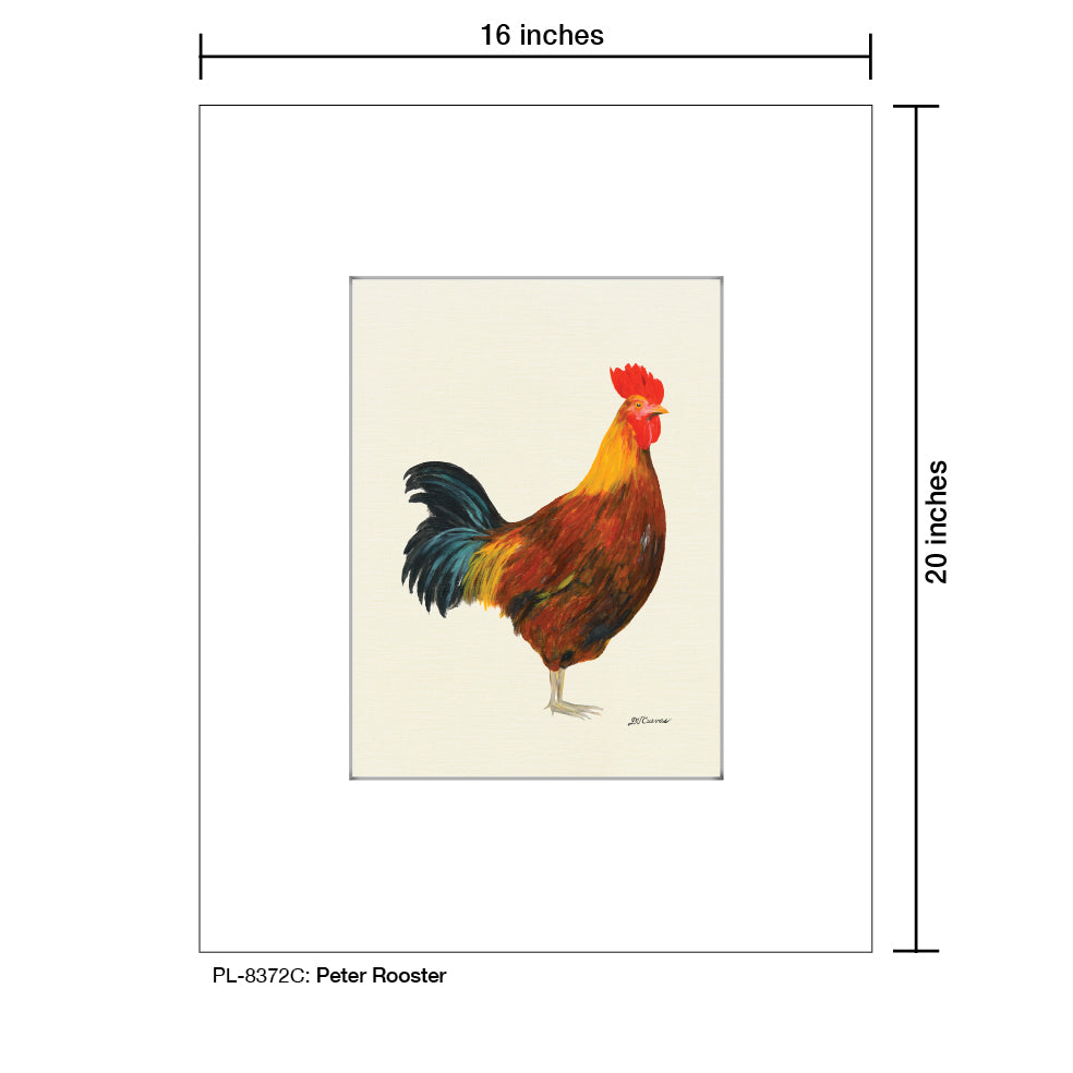 Peter Rooster, Print (#8372C)