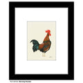 Morning Rooster, Print (#8375A)