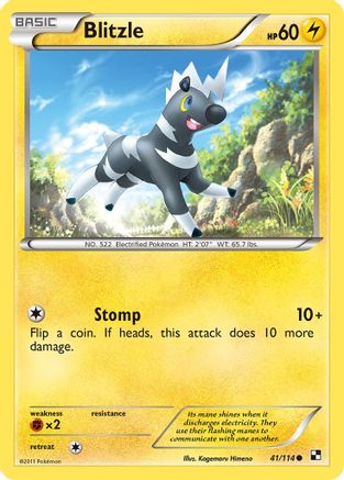 Blitzle 041/114 - Black and White Reverse Holofoil
