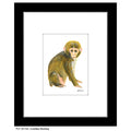 Cuddles Monkey, Print (#8416A)