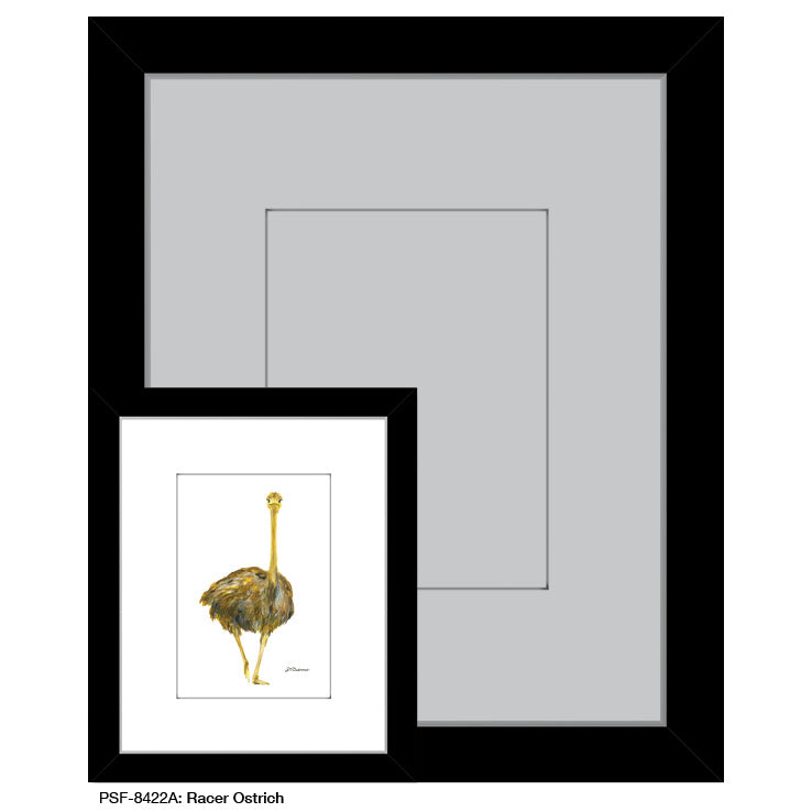 Racer Ostrich, Print (#8422A)