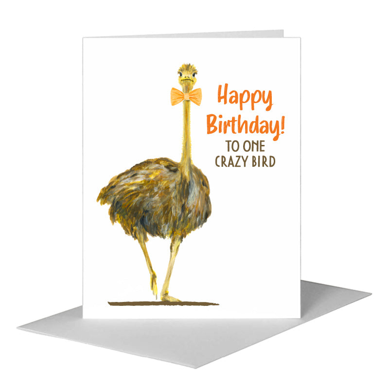 Racer Ostrich, Greeting Card (#8422B)