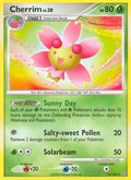Cherrim 014/100 - Stormfront Reverse Holofoil