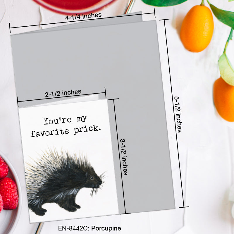 Porcupine, Greeting Card (#8442C)