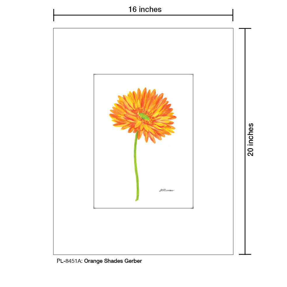 Orange Shades Gerber, Print (#8451A)