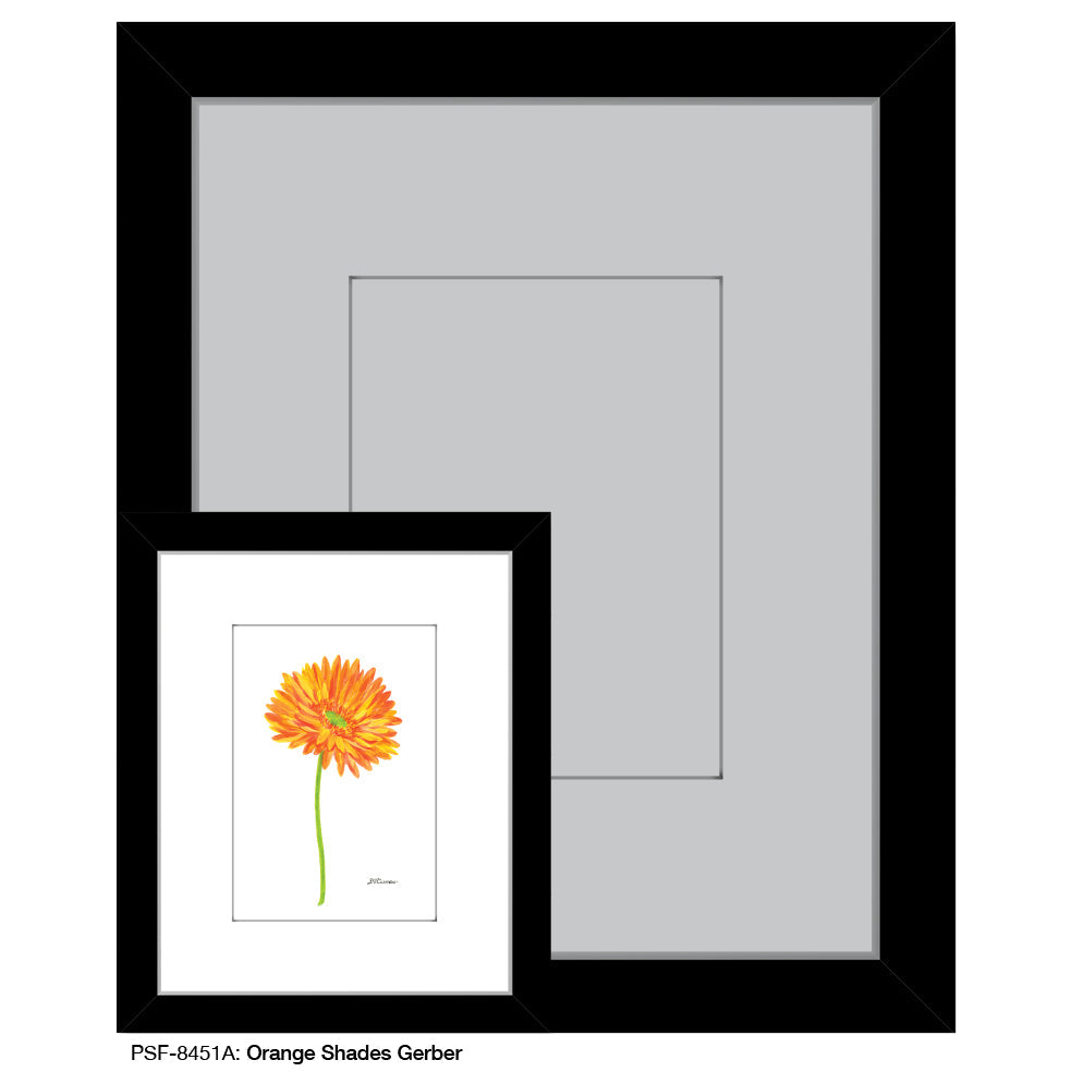 Orange Shades Gerber, Print (#8451A)