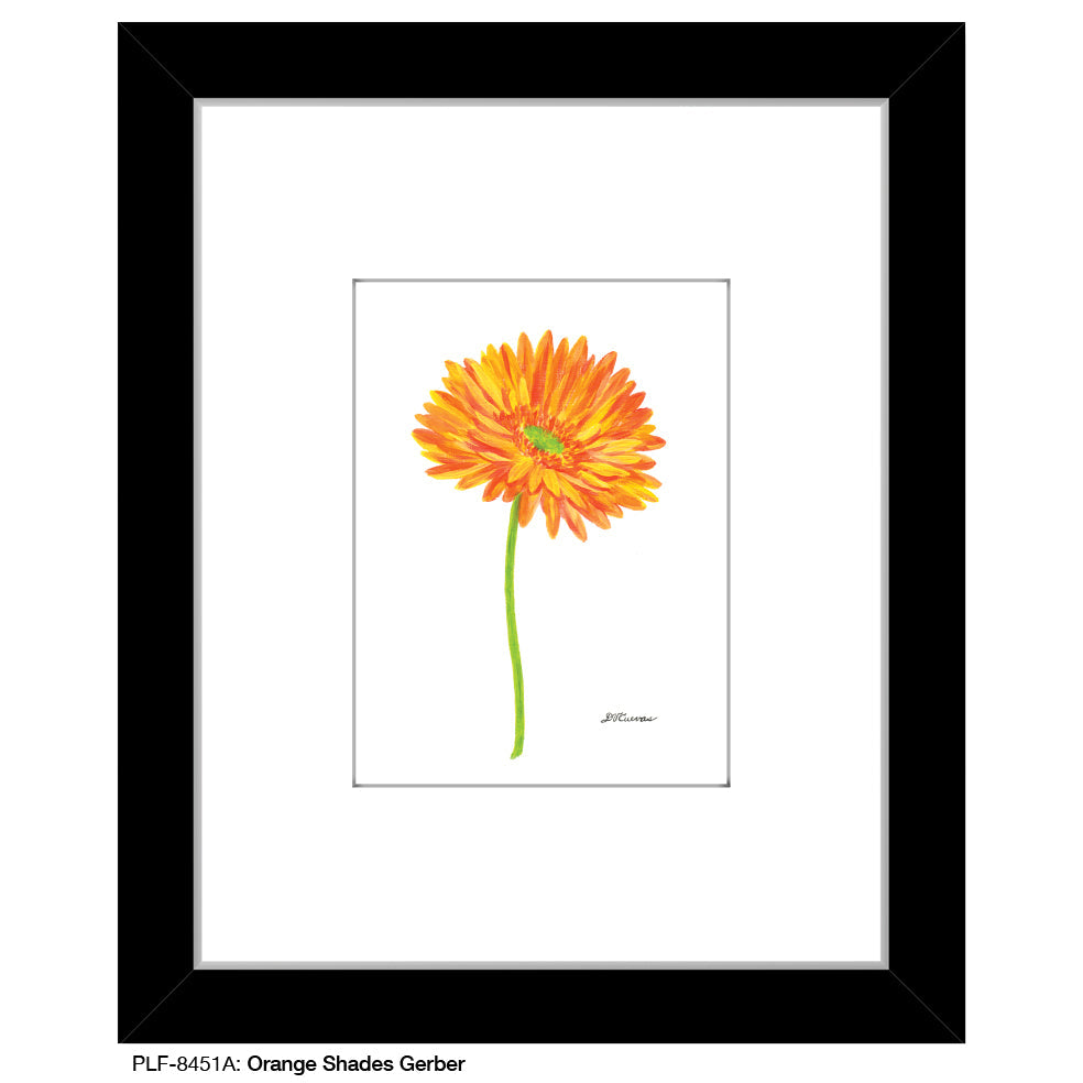 Orange Shades Gerber, Print (#8451A)