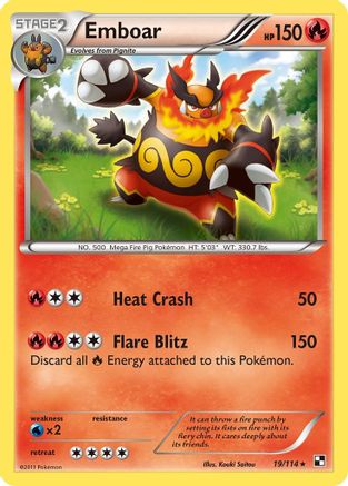 Emboar 019/114 - Black and White Holofoil