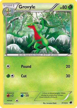 Grovyle 007/116 - Plasma Freeze