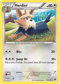 Herdier 109/146 - XY Base Set Reverse Holofoil