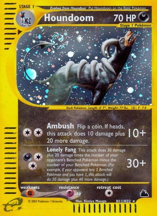 Houndoom (H11) H11 - Skyridge - Holofoil