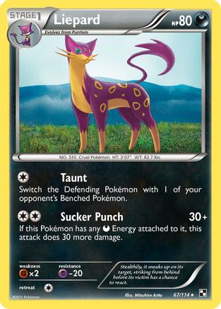 Liepard 067/114 - Black and White