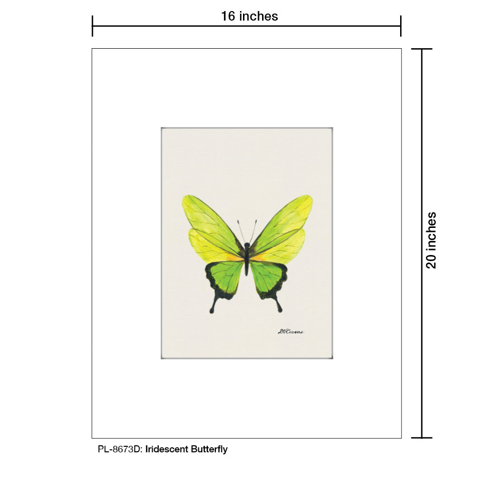 Iridescent Butterfly, Print (#8673D)