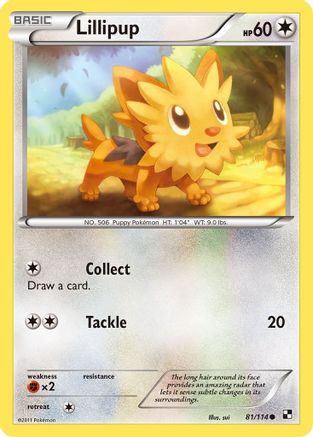 Lillipup 081/114 - Black and White