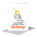 Cockatiel, Greeting Card (#8745BA)