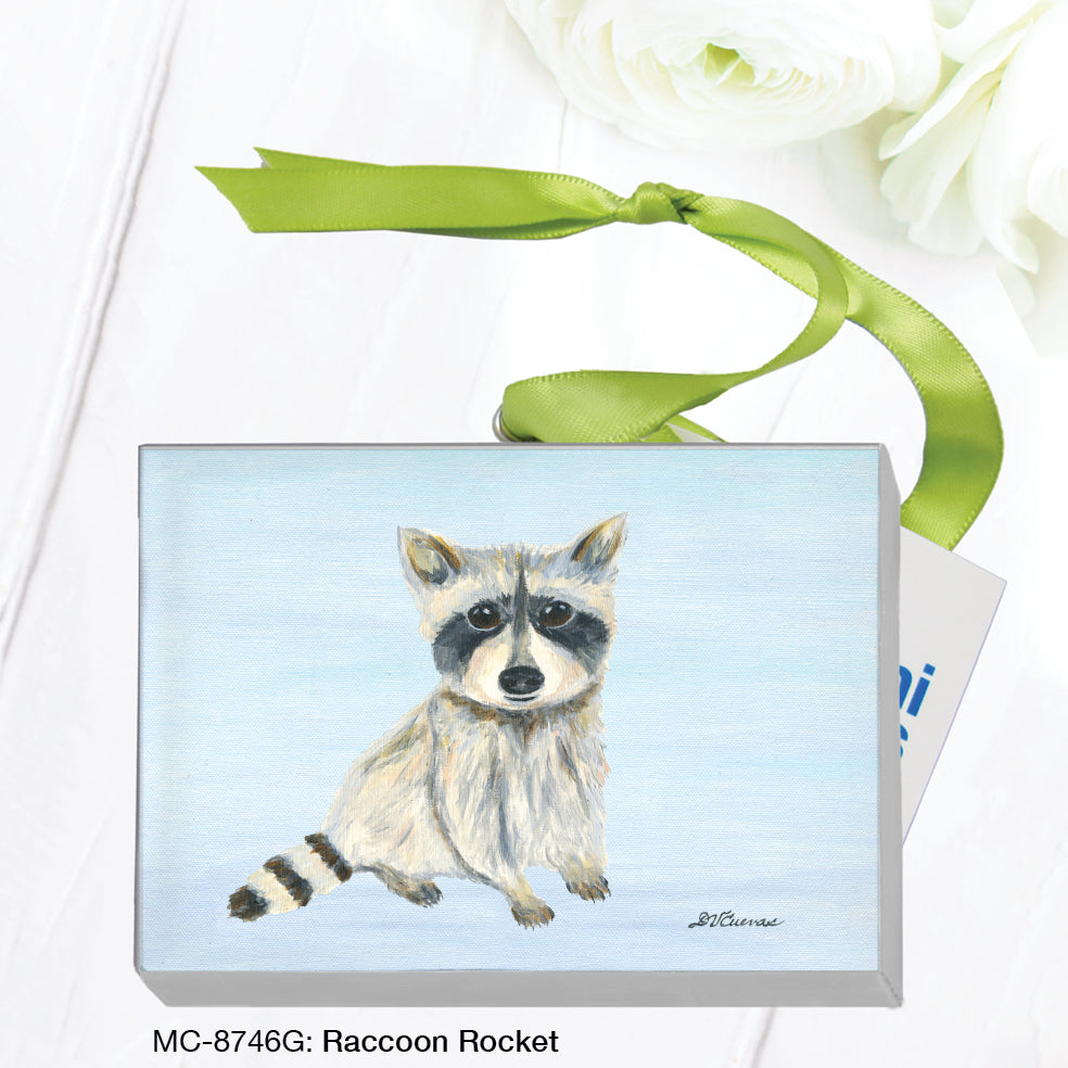 Raccoon Rocket, Mini Canvas (MC-8746G)