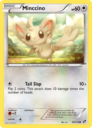 Minccino 088/114 - Black and White