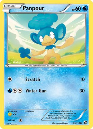 Panpour 033/114 - Black and White Reverse Holofoil