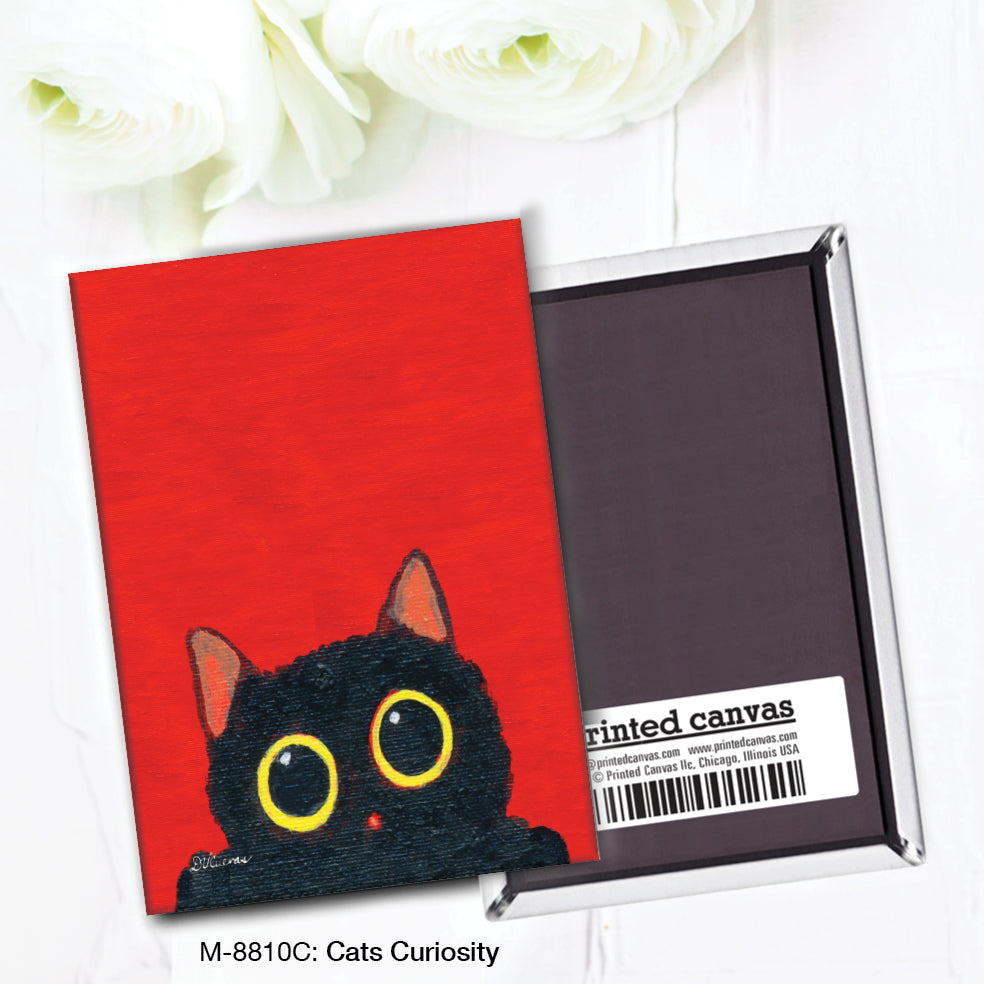 Cats Curiosity, Magnet (M-8810C)