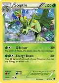 Sceptile 008/116 - Plasma Freeze Holofoil