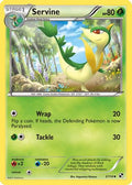 Servine 003/114 - Black and White Reverse Holofoil