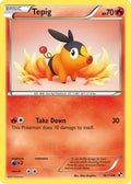 Tepig 016/114 - Black and White