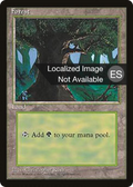 Forest (4BB-176) - Fourth Edition Foreign Black Border