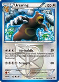 Ursaring (Team Plasma) 076/101 - Plasma Blast