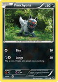 Poochyena 053/119 - XY  Phantom Forces Reverse Holofoil