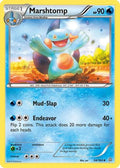 Marshtomp 034/160 - XY  Primal Clash Reverse Holofoil