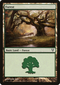 Forest (AVR-244) - Avacyn Restored