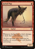 Jackal Pup (A25-139) - Masters 25
