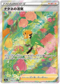 Gardenia's Vigor (243/172) [VSTAR Universe]