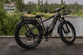 High-Quality eBike with 52V 750W Motor - 17AH Long Range