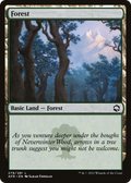 Forest (AFR-279) - Adventures in the Forgotten Realms