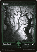 Forest (MID-276) - Innistrad: Midnight Hunt: (Full Art, Showcase)