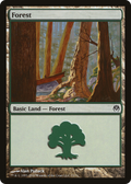 Forest (DDE-071) - Duel Decks: Phyrexia vs. the Coalition