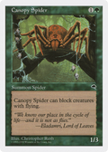 Canopy Spider (ATH-064) - Anthologies