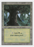 Forest (3ED-306) - Revised Edition