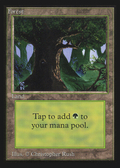 Forest (CED-282) - Collectors' Edition