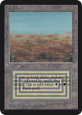 Scrubland (LEA-281) - Limited Edition Alpha
