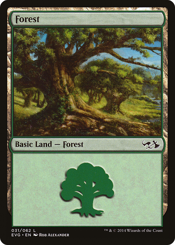 Forest (DD3-031) - Duel Decks Anthology: Elves vs. Goblins