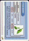 Pokémon Battle-e - Iron Defense Strib Berry