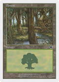 Forest (S99-171) - Starter 1999