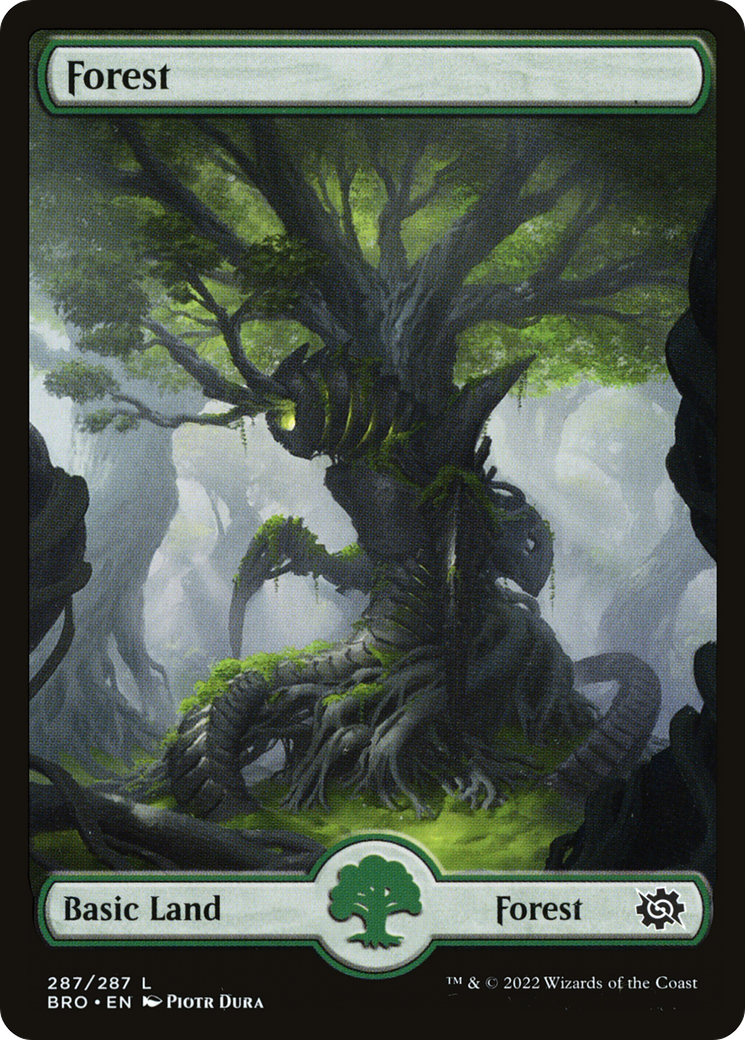 Forest (BRO-287) - The Brothers' War Foil